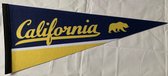 California University - Cali Uni - NCAA - Vaantje - American Football - Sportvaantje - Wimpel - Vlag - Pennant - Universiteit - Ivy League amerika - 31 x 72 cm