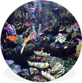 WallCircle - Wandcirkel ⌀ 150 - Kleurrijk aquarium - Ronde schilderijen woonkamer - Wandbord rond - Muurdecoratie cirkel - Kamer decoratie binnen - Wanddecoratie muurcirkel - Woonaccessoires