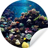 WallCircle - Muurstickers - Behangcirkel - Aquarium met tropische vissen en koralen - ⌀ 30 cm - Muurcirkel - Zelfklevend - Ronde Behangsticker
