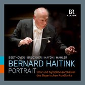 Chor Und Symphonieorchester Des Bayerischen Rundfunks - Portrait (11 CD)