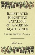 Illustrated Descriptive Catalogue Of American Grape Vines - A Grape Growers Manual