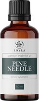 Dennen olie - 50 ml - 100% Puur - Etherische olie van Dennenolie - Pine Needle