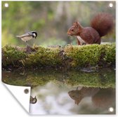 Tissu de jardin Animaux de la forêt - Water - Mousse - 100x100 cm