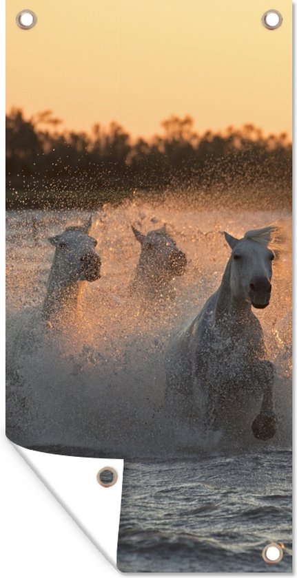Paarden galopperen door diep water in Camargue