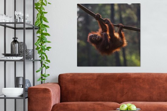 Tableau sur Toile Jeune orang-outan suspendu à une branche - 90x90 cm - Décoration murale