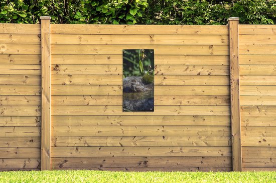 Tuinposter 40x80 cm - Tuindecoratie Vogelbad - Mus - Water - Poster voor in de tuin - Buiten decoratie - Schutting tuinschilderij - Tuindoek muurdecoratie - Wanddecoratie balkondoek