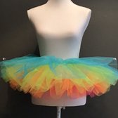 tutu - Ballerina regenboog
