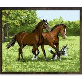 Eagle® Diamond Painting Volwassenen - Paarden met Hond - 50x40cm - Vierkante Steentjes
