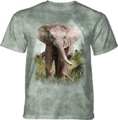 T-shirt Elephant Calf KIDS L