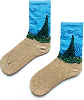 SocksWorld-Sokken-1-Pack-Kunst-Sokken