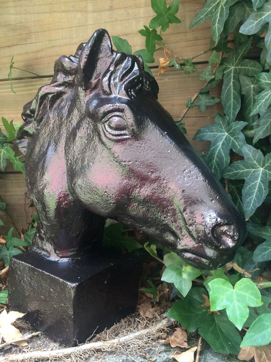 Rare Porte Licol Tête De Cheval En Fonte De Fer Et Fer Forgé