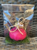 Wax Amaryllis Roze - Amaryllisbol - Hippeastrum - Gewaxte amaryllis in geschenkverpakking