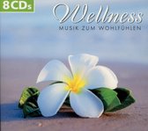 Various Artists - Wellness Musik Zum Wohlfuhlen (8 CD)