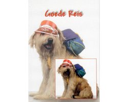Goede reis! De hond is er al helemaal klaar voor, met de pet op en de rugzak om gaat het vast helemaal goedkomen deze vakantie. Een dubbele wenskaart inclusief envelop en in folie verpakt.