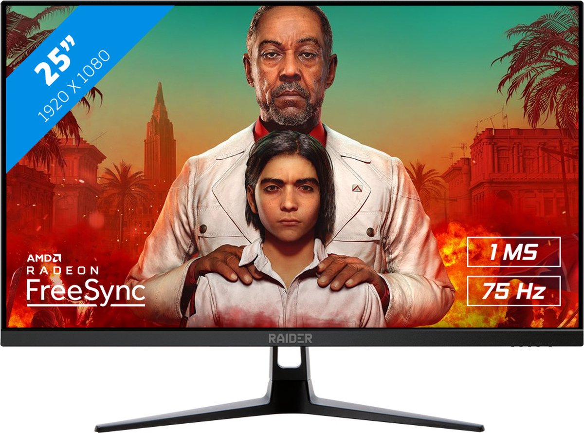 RAIDER Full HD TN 75 Hz Gaming Monitor - 25 Inch