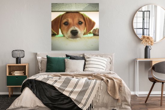 Poster Un chiot regarde à travers une clôture - 100x100 cm XXL