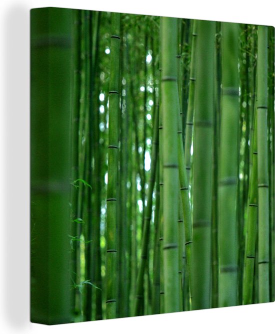 Canvas Schilderij Het Bamboebos van Arashiyama van dichtbij - 20x20 cm - Wanddecoratie