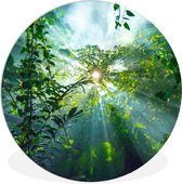 WallCircle - Wandcirkel ⌀ 140 - De zon schijnend door de bossen van een regenwoud in Maleisië - Ronde schilderijen woonkamer - Wandbord rond - Muurdecoratie cirkel - Kamer decoratie binnen - Wanddecoratie muurcirkel - Woonaccessoires