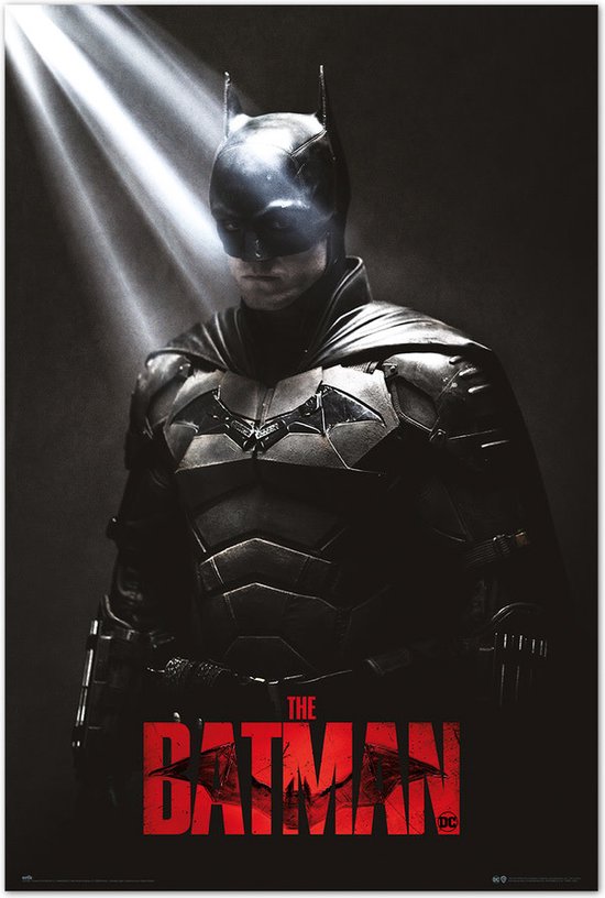 THE BATMAN - Je suis l'ombre - Affiche 61x91.5cm | bol.com