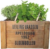 Plantenwinkel Urban Jungle Crate Herbs zaden giftbox