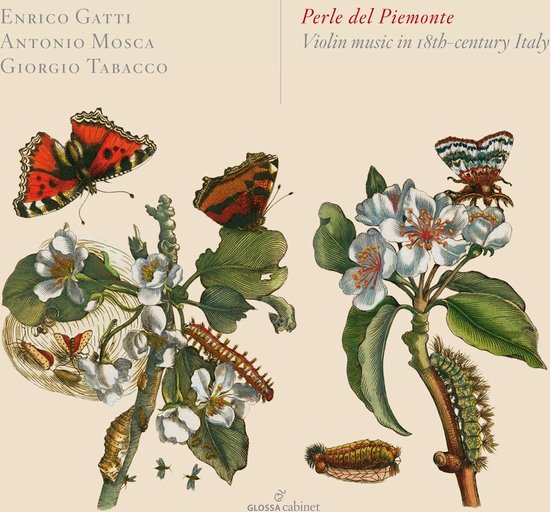 Enrico Gatti, Antonio Mosca & Giorgio Tabacco - Perle Del Piemonte: Violin Music In 18th-Century Italy (CD)