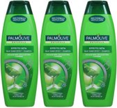 3 stuks Palmolive Silky Shine Effect Shampoo 350 ml
