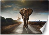 Trend24 - Behang - Zwervende Olifant - Vliesbehang - Fotobehang Dieren - Behang Woonkamer - 100x70 cm - Incl. behanglijm