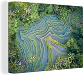 Canvas Schilderij Afbeelding van een rijstveld in Bali gemaakt met een drone - 120x90 cm - Wanddecoratie