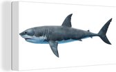 Toile Peinture Requin - Illustration - Wit - 40x20 cm - Décoration murale