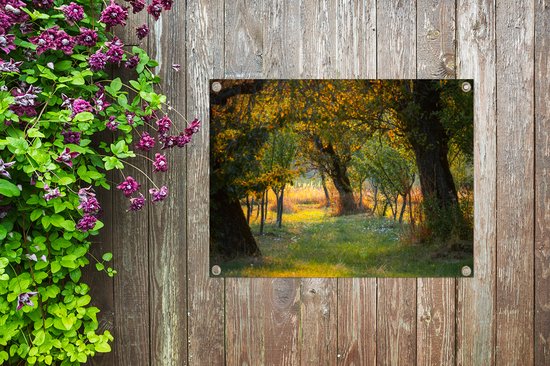 Tableau de jardin Paysage verdoyant en été en Roumanie - 80x60 cm - Poster jardin