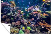 Tuinposter - Tuindoek - Tuinposters buiten - Kleurrijke vissen zwemmen bij allemaal koraal - 120x80 cm - Tuin