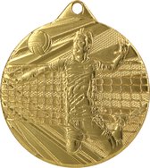 100 gouden medailles van 5 cm volleybal met lint driekleur