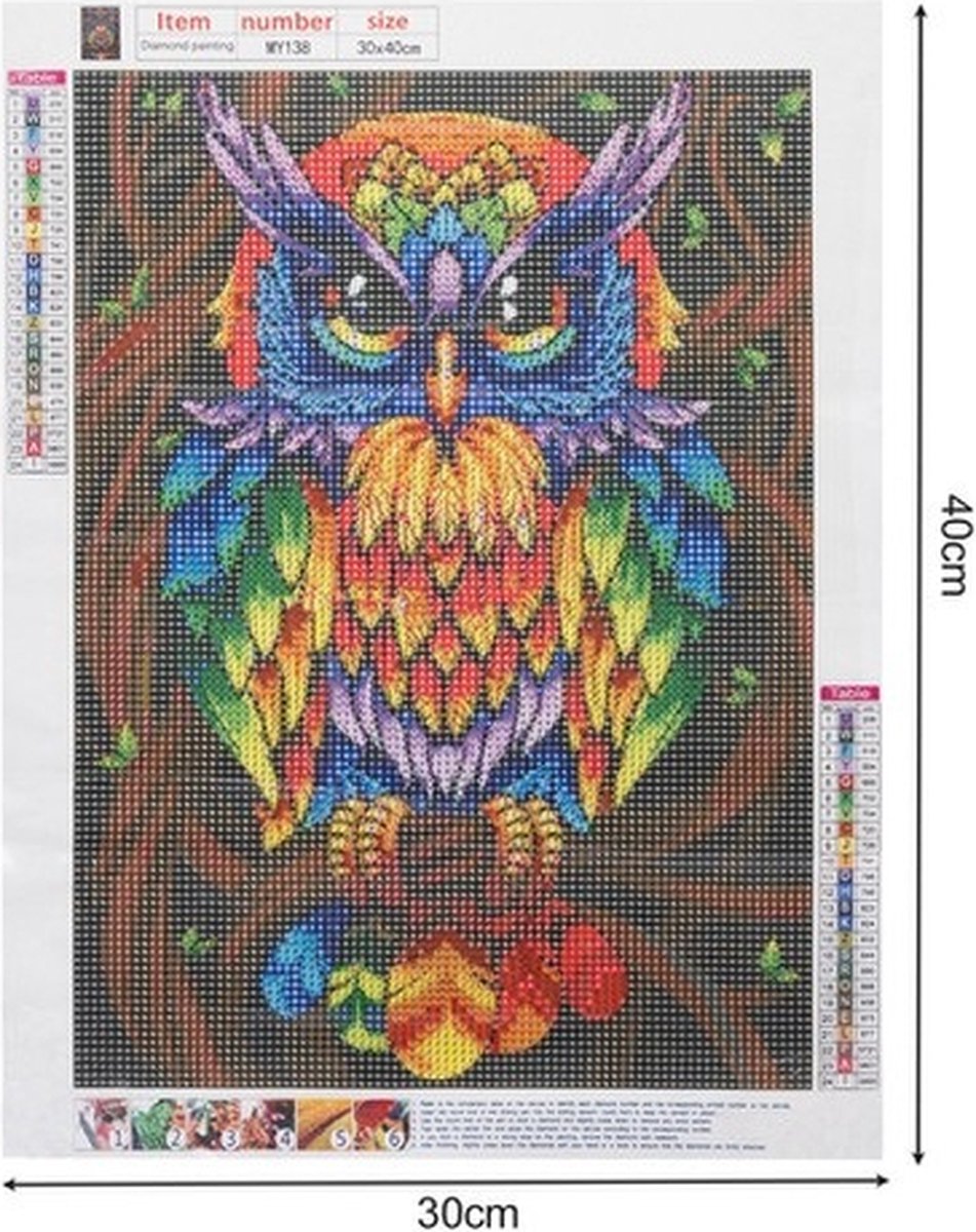SIEPS Diamond Painting Volwassenen - Diamond Painting Kinderen - Prachtige Uil - Inclusief Diamond Painting Pen , Bakje & Wax - 30 x 40 CM - Diamond Painting Pakket Volledig — afbeelding 2