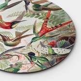 Artistic Lab Poster - Muurcirkel Hummingbirds Round Plexiglas - Multicolor