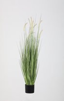 kunstplant - Kamgras - Cynosurys cistatus - topkwaliteit plant - kamerplant - Groen - 120 cm hoog