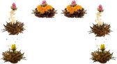 Theebloemen boeket zwarte thee | 6 stuks
