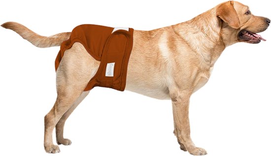 Loopsheidbroekje hond Bruin Maat L - Taille 36-46cm - herbruikbaar - hondenbroekje - hondenluier - loopsheid - ongesteldheid - voorkomt ongewenste zwangerschappen bij teefjes - milieuvriendelijk - verantwoord - perfecte pasvorm