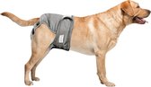 Loopsheidbroekje Hond - L - Hondenluier - Grijs - Verstelbaar in lengte en breedte 36-46 cm - Bij loopsheid en incontinentie
