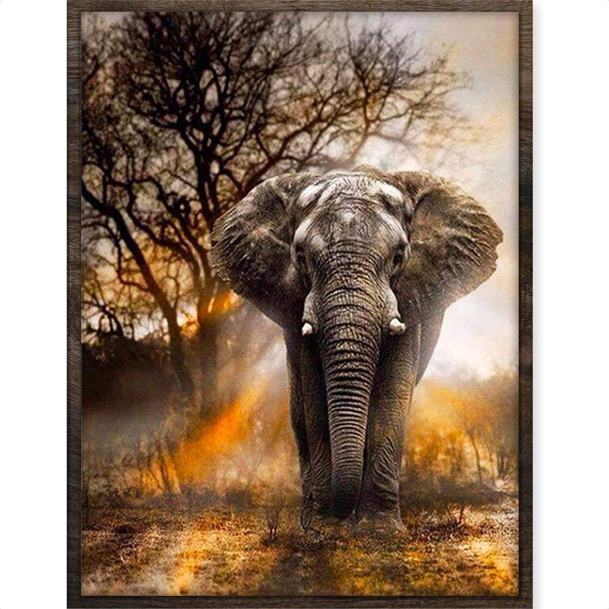 Eagle® Diamond Painting Volwassenen - Olifant in Schemer - 40x30cm - Ronde Steentjes
