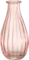 J-Line Vaas Flesje Glas Rose Set van 12 stuks
