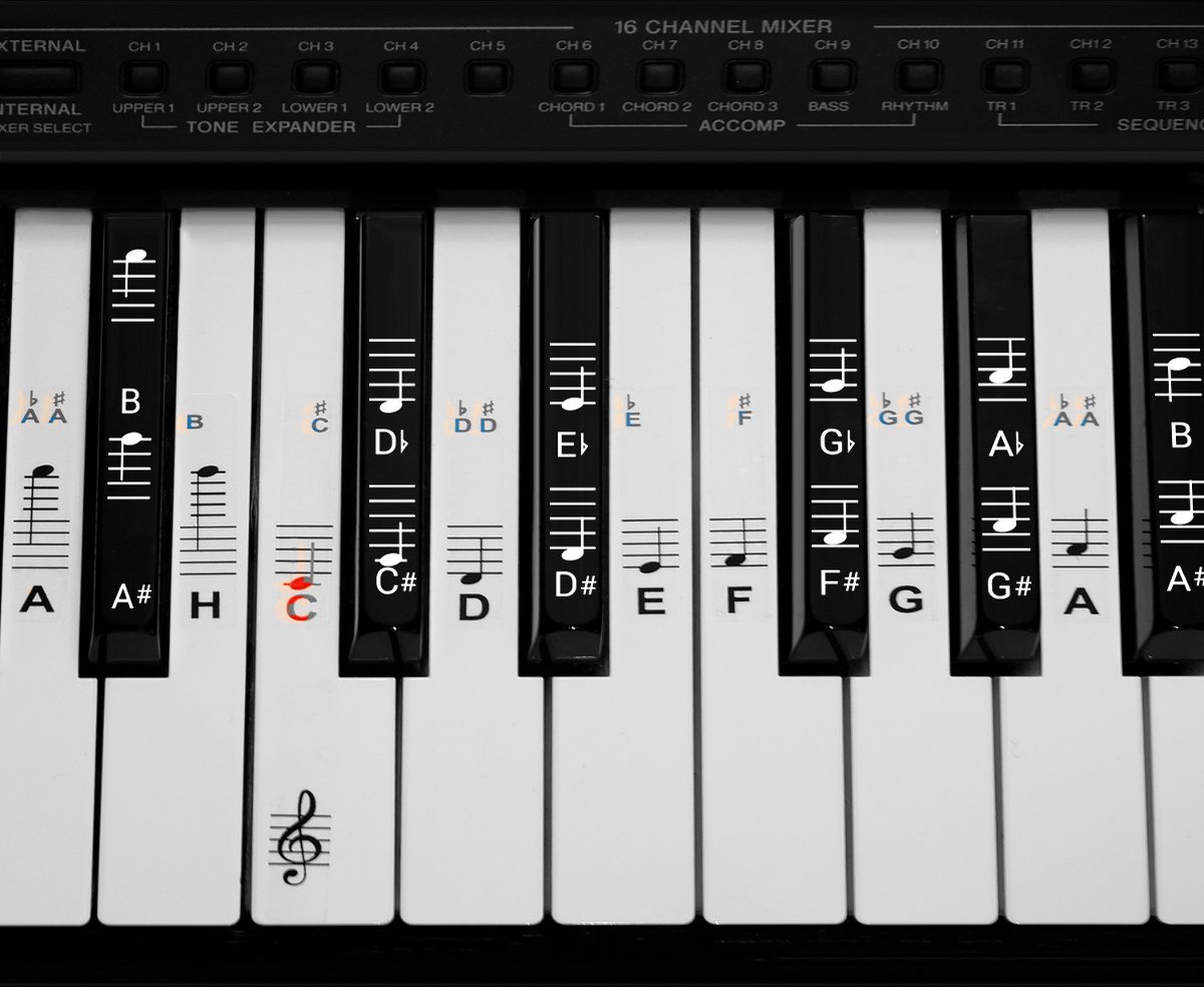 Autocollants pour clavier de Piano, 49/54/61/88 touches, sans colle, notes  colorées