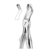 Belux Surgical/ Tandextractie / Bovenste kies / 18cm /RVS