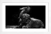 JUNIQE - Poster in houten lijst Frolicking Elephant -60x90 /Zwart