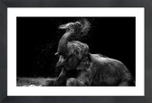 JUNIQE - Poster in houten lijst Frolicking Elephant -60x90 /Zwart