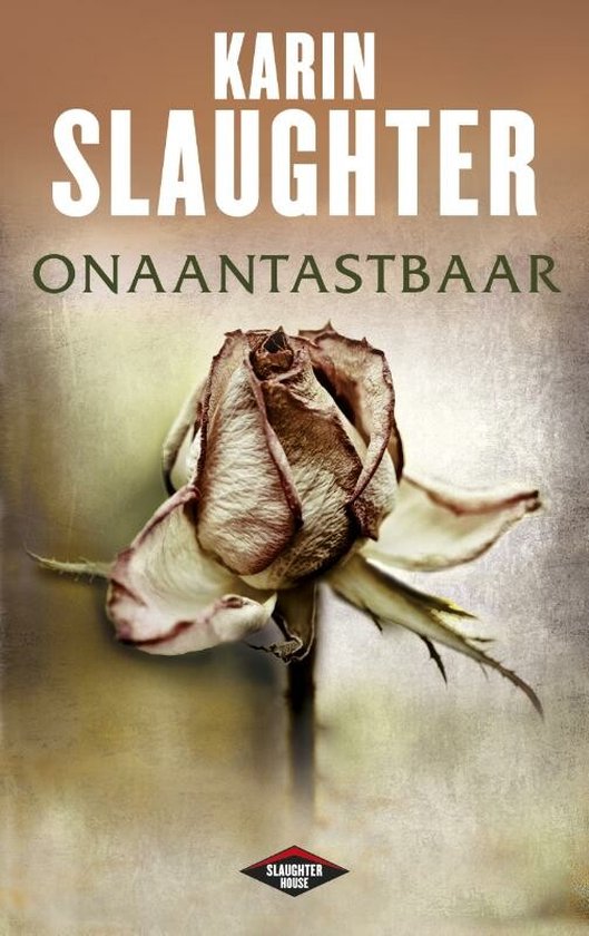 Onaantastbaar - cover
