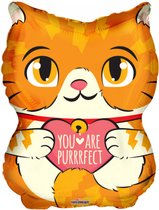 LuxuryLiving - Valentijn cadeautje voor Hem of Haar - Folieballon - You Are Purrfect - 45 cm - Oranje