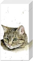 IHR - Farmfriends ' Cat' - Mouchoirs en papier - 6 paquets