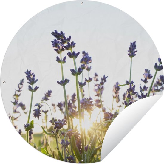 Tuincirkel Close-up van lavendel tijdens zonsondergang - 60x60 cm - Ronde Tuinposter - Buiten