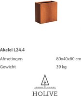 Cortenstaal Akelei L24.4 Rechthoek 80x40x80 cm. Plantenbak