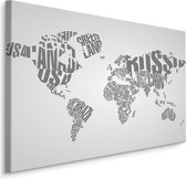 Schilderij - Wereldkaart met opschriften, grijs/wit, Premium Print
